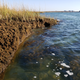 Erosion of wetlands in Jamaica Bay of New York City.